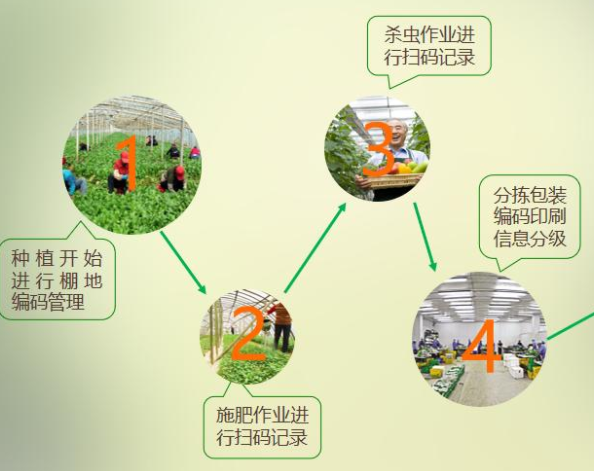 产品全程溯源追溯‍系统为什么会不断发展和进步